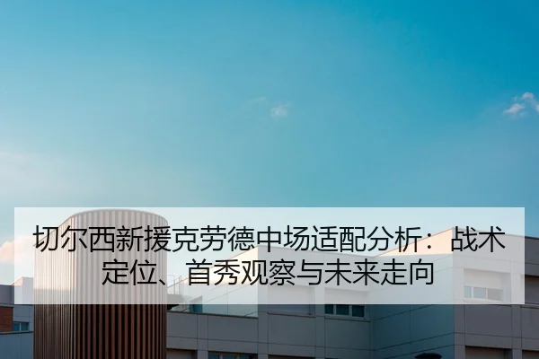 qie-er-xi-xin-yuan-ke-lao-de-zhong-chang-shi-pei-fen-xi-zhan-shu-ding-wei-shou-xiu-guan-cha-yu-wei-lai-zou-xiang-2-508.jpg