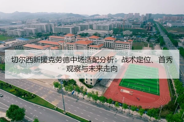 切尔西新援克劳德中场适配分析：战术定位、首秀观察与未来走向