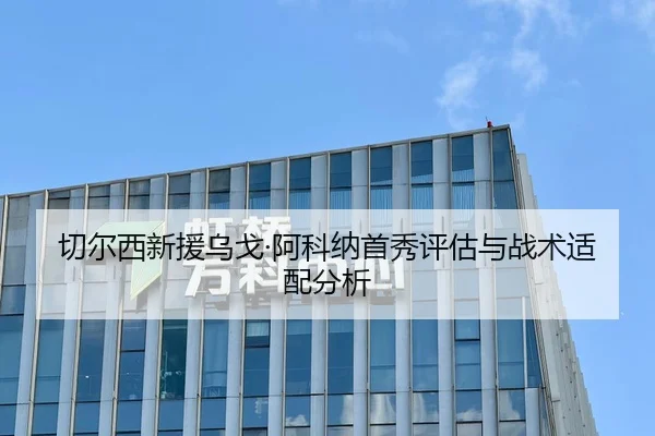 切尔西新援乌戈·阿科纳首秀评估与战术适配分析